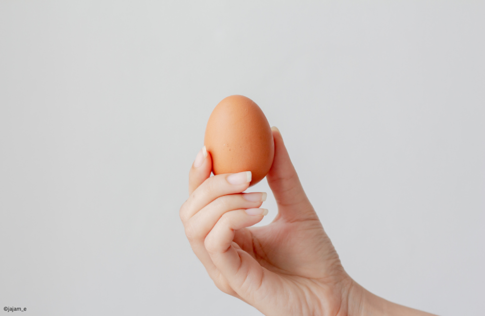 Von Wegen Ostern: Wöchentlich nur noch ein Ei! 